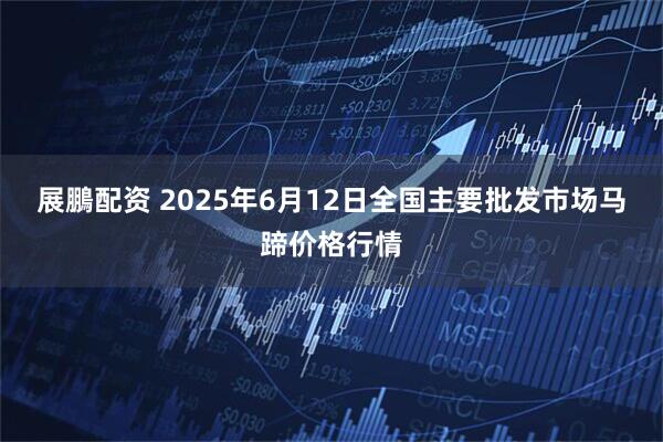 展鵬配资 2025年6月12日全国主要批发市场马蹄价格行情
