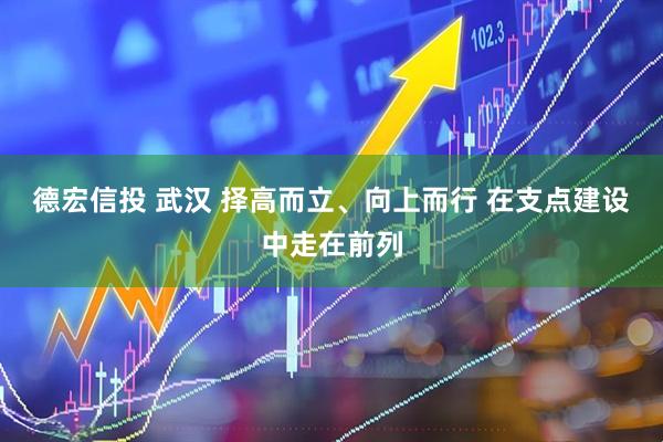 德宏信投 武汉 择高而立、向上而行 在支点建设中走在前列